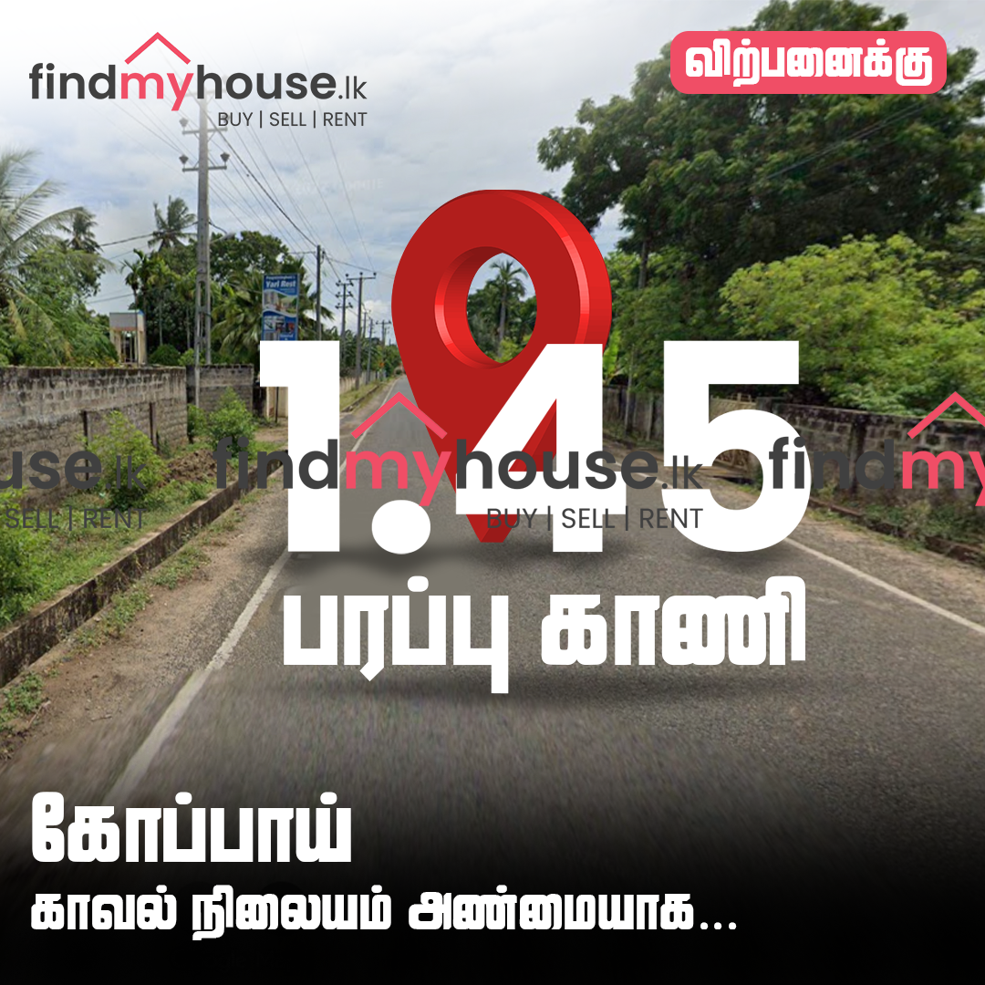 kopayyyyyyyyyyyy copy